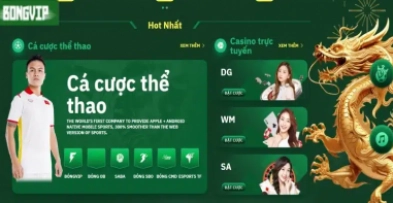 Lý do nên chọn Bongvip là nơi giải trí cá cược